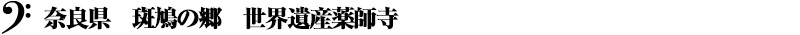 奈良県　斑鳩の郷　世界遺産薬師寺