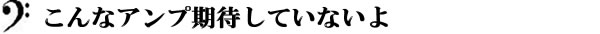 こんなアンプ期待していないよ